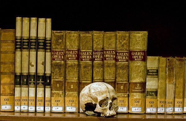 Museo di Anatomia Umana
