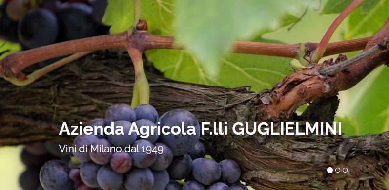 Azienda Agricola Guglielmini Giuseppe