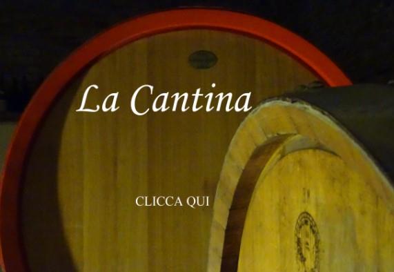 Azienda vinicola - Blengio