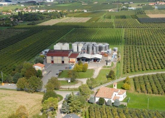 Cantina Dei Colli Romagnoli