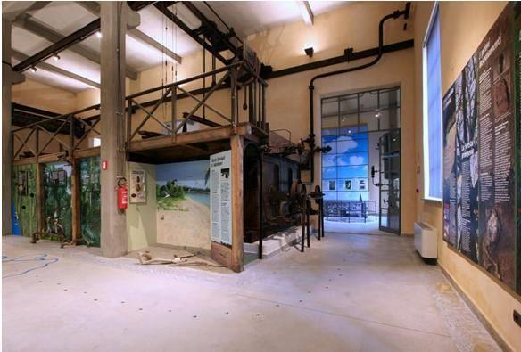 Museo di Storia Naturale