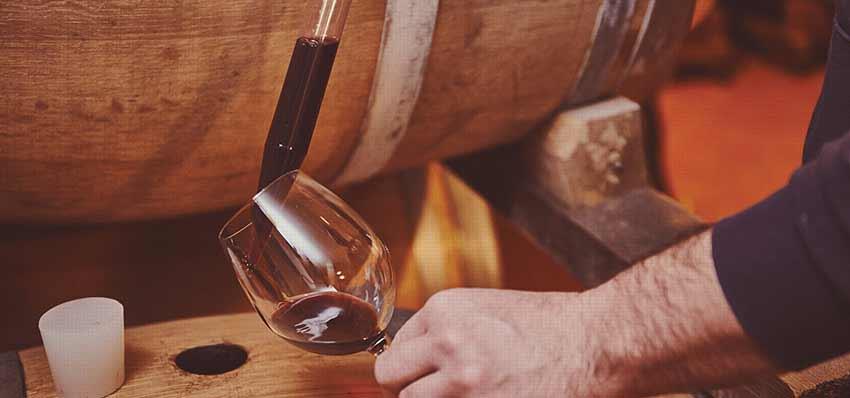 Azienda Agricola Damoli Bruno - Damoli Vini