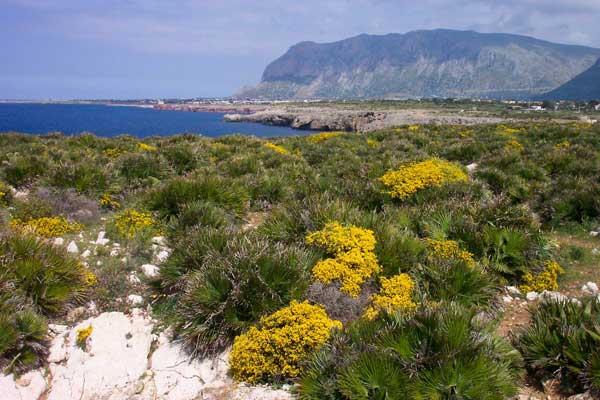 Riserva Naturale Orientata di Capo Rama
