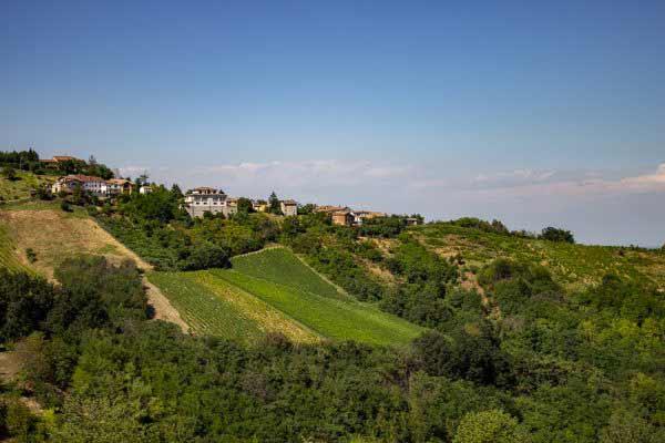 Azienda Agricola Giulio Fiamberti