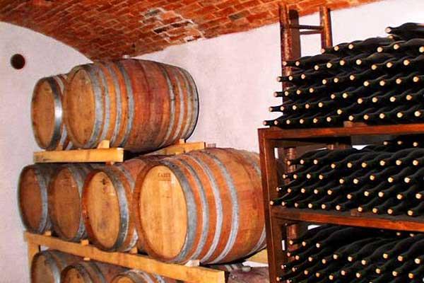 Agriturismo Terensano
