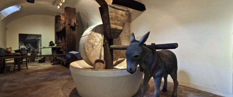 Museo della Civiltà dell' Ulivo