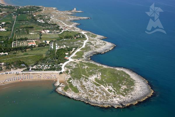 CAMPING VILLAGE MOLINELLA VACANZE