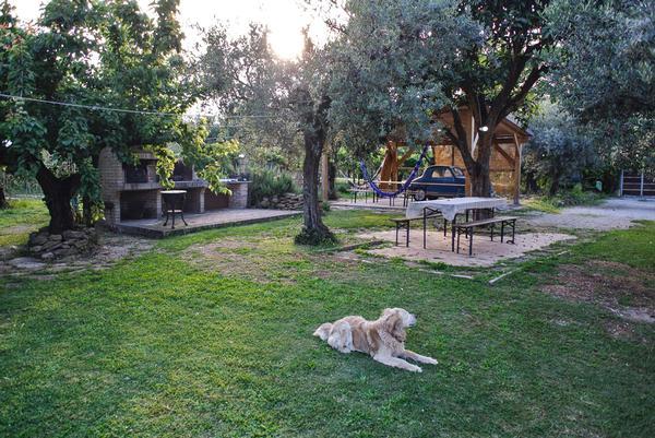 B&B dei Transumanti