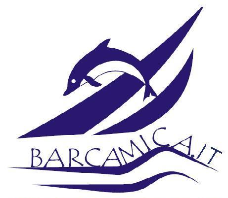 Barcamica