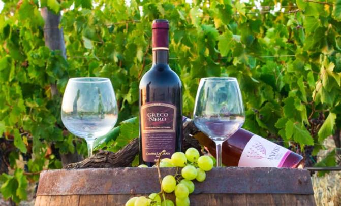 Cantine Lavorata Srl