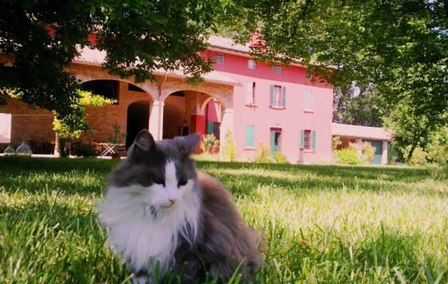 Antico Bed & Breakfast Podere Merlo in Parma