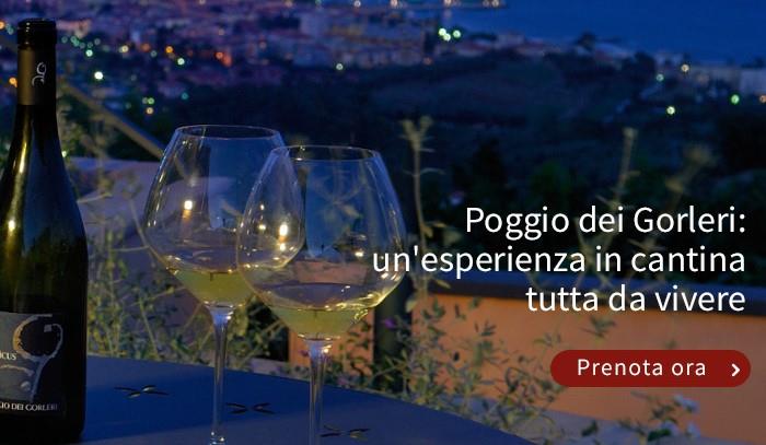 Poggio dei Gorleri 