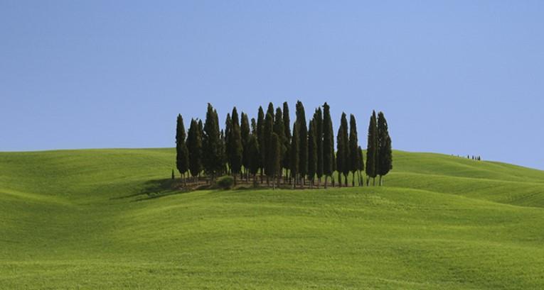 Mocine Az.Agrituristica Venatoria