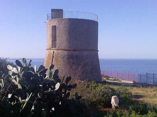 Torre Alto Lido