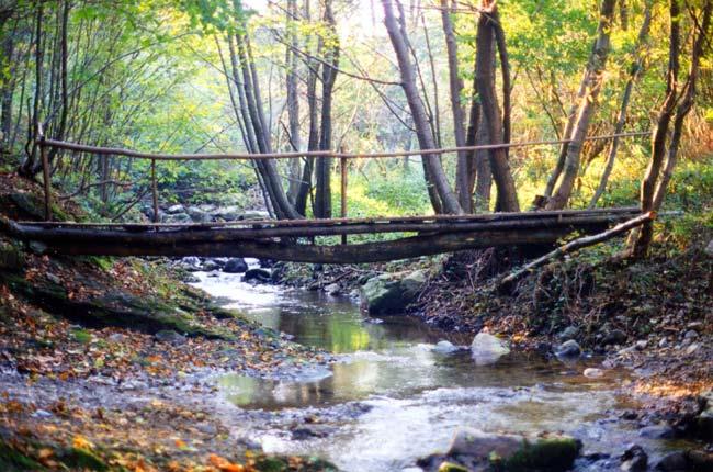 Rio tecci Pallare