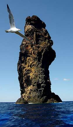 Faraglione la Canna