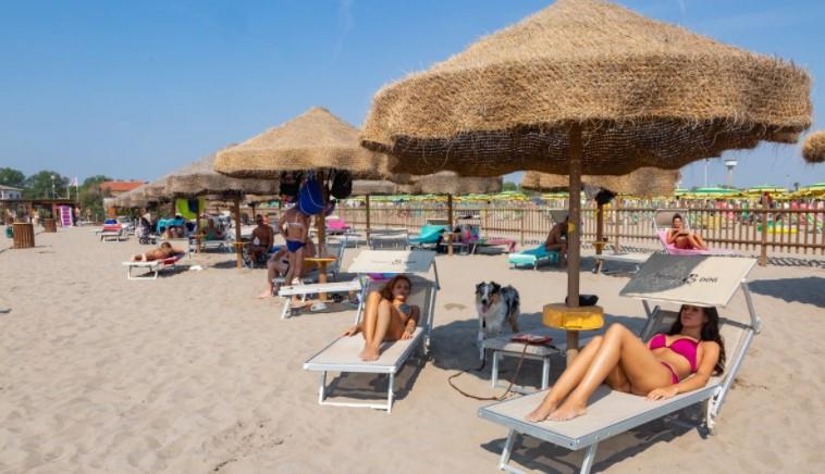 Bagno Tamerici Dog