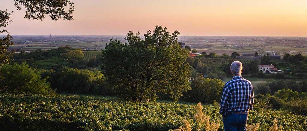 Ca' Rovere Azienda Agricola