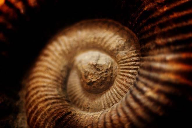 Museo di Storia Naturale