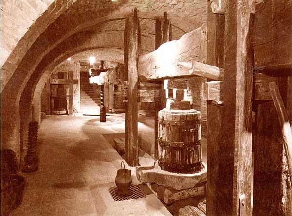 Museo 