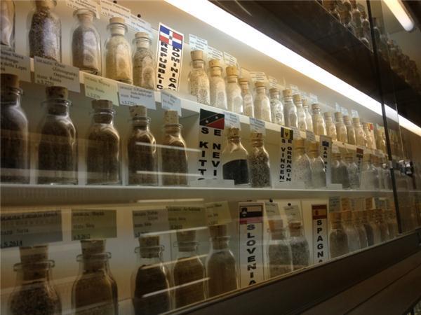 Museo di Scienze Naturali
