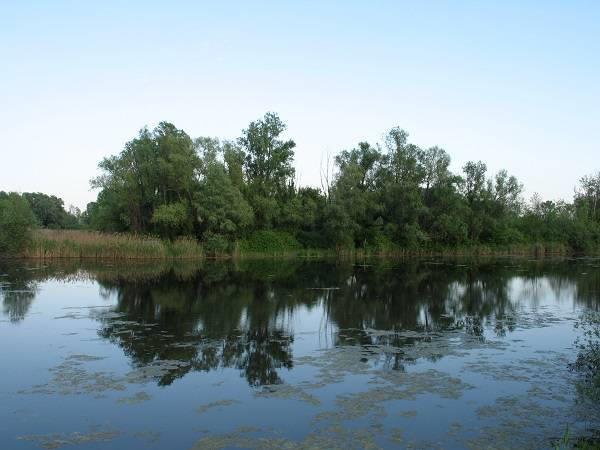 Oasi di Alvisopoli