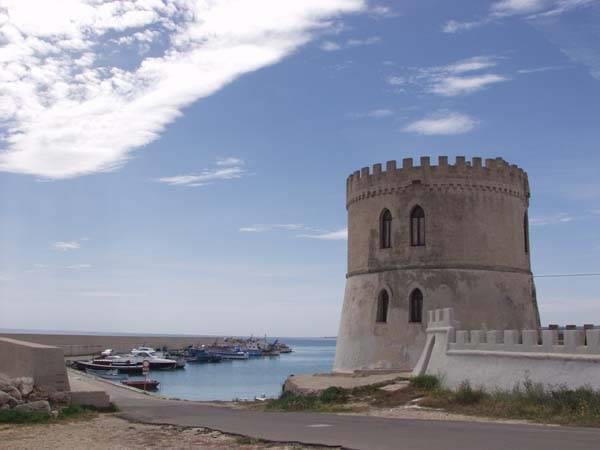Torre Vado