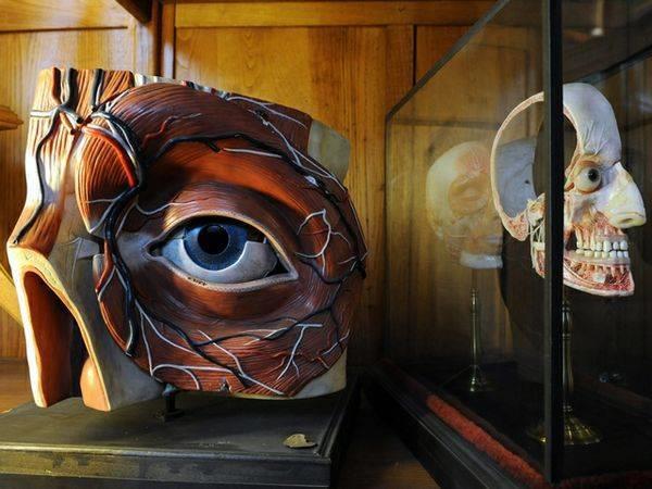 Museo Casartelli