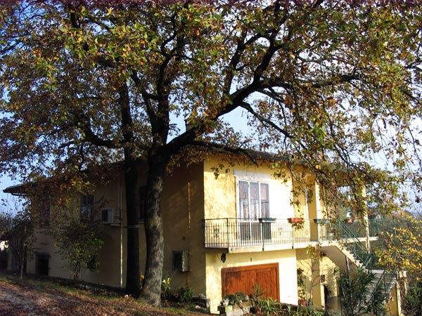B&B Berici Way
