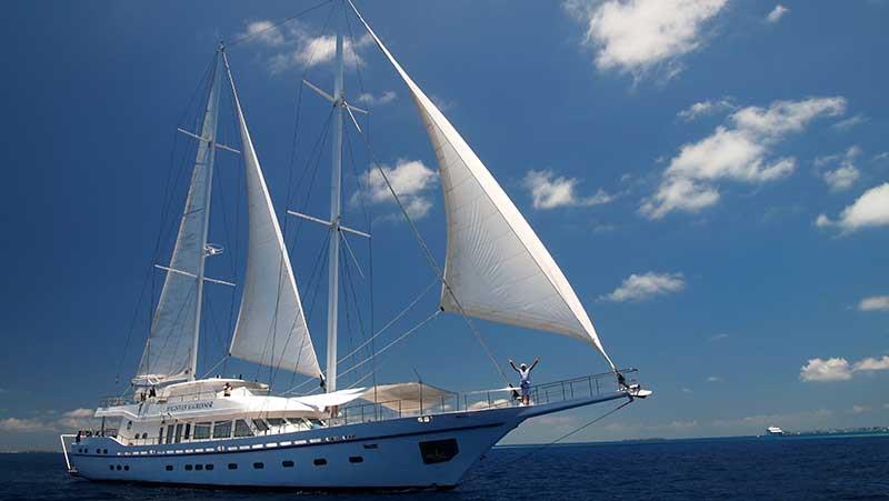 Seafari Adventures