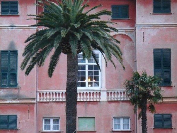 HOTEL BONERA