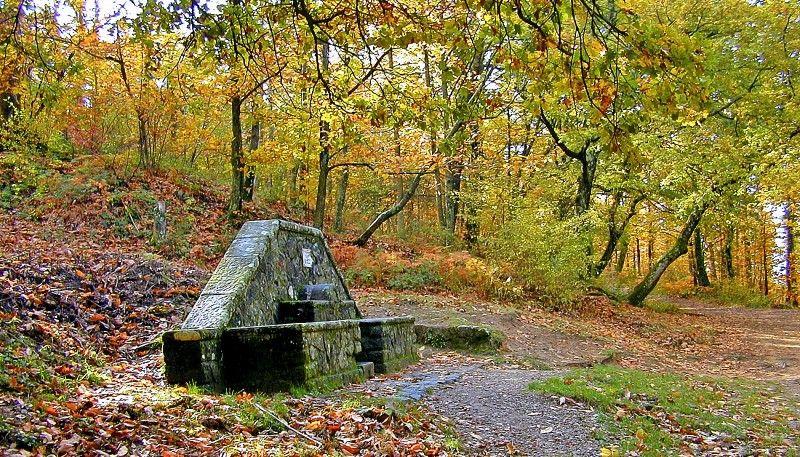 Parco di Fontesanta