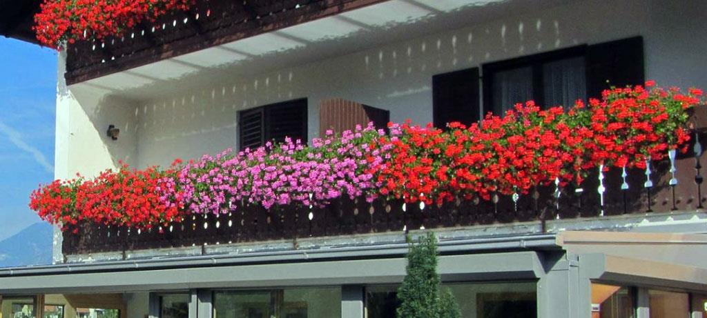 Pensione Tannenhof