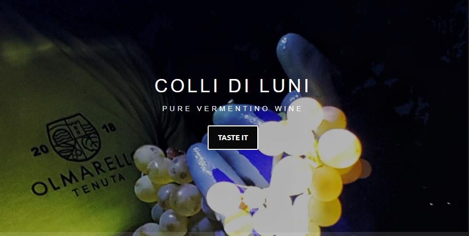 Tenuta Olmarello 