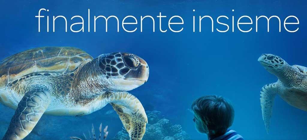Acquario di Livorno