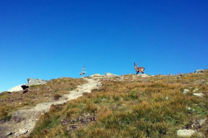 RIFUGIO ARP