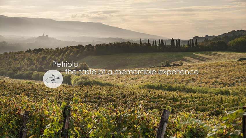 Fattoria Petriolo