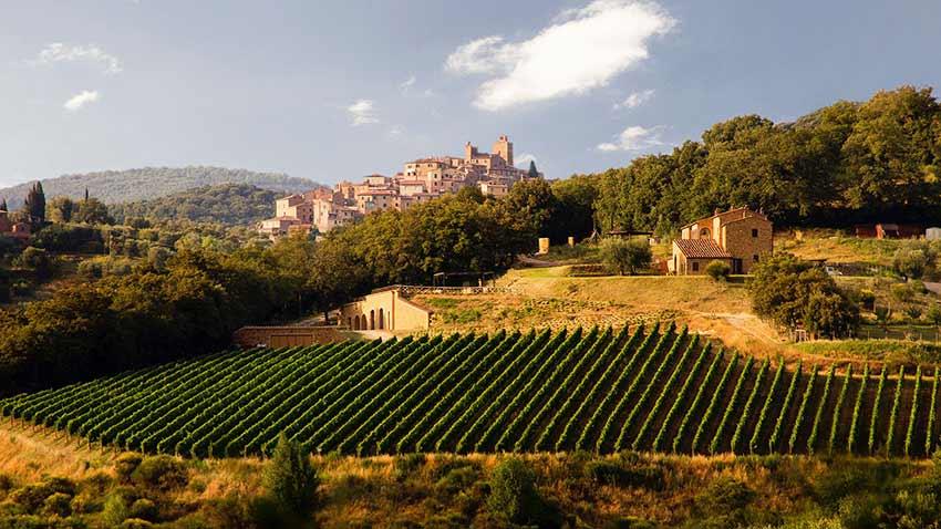 Azienda agraria Albiano
