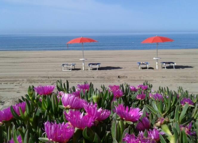 Lido Erica
