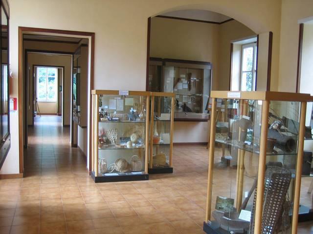 Museo di Paleobotanica ed Etnobotanica dell'Orto Botanico