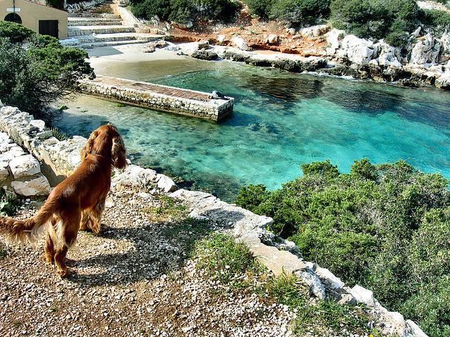 Spiaggia Cala Dragunara