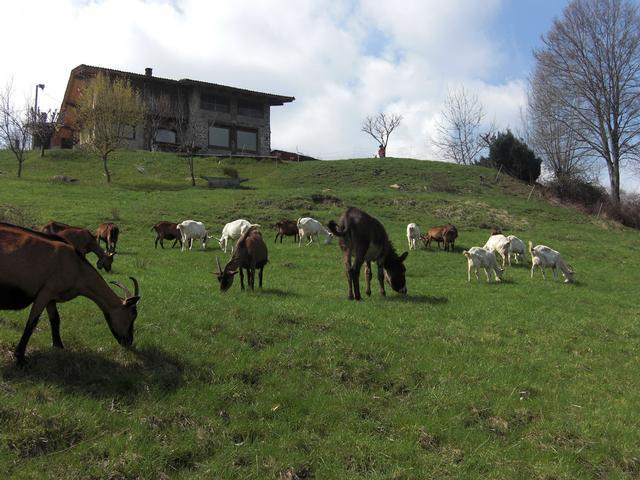 Agriturismo Cà D'Andrei