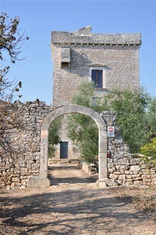 Torre Falcone