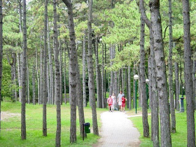 Parco Hemingway