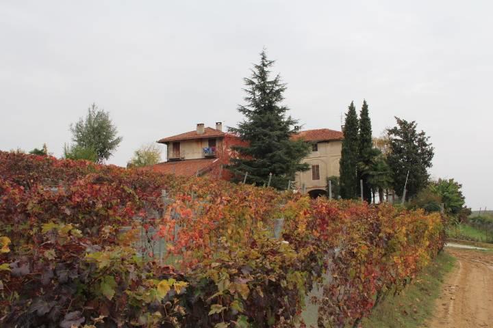 Poderi del Palas