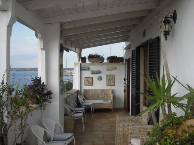 LE CIMANIE