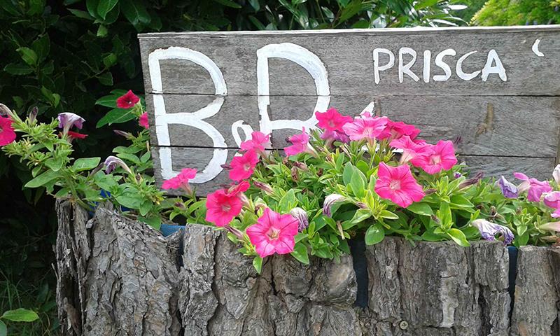 B&B Prisca