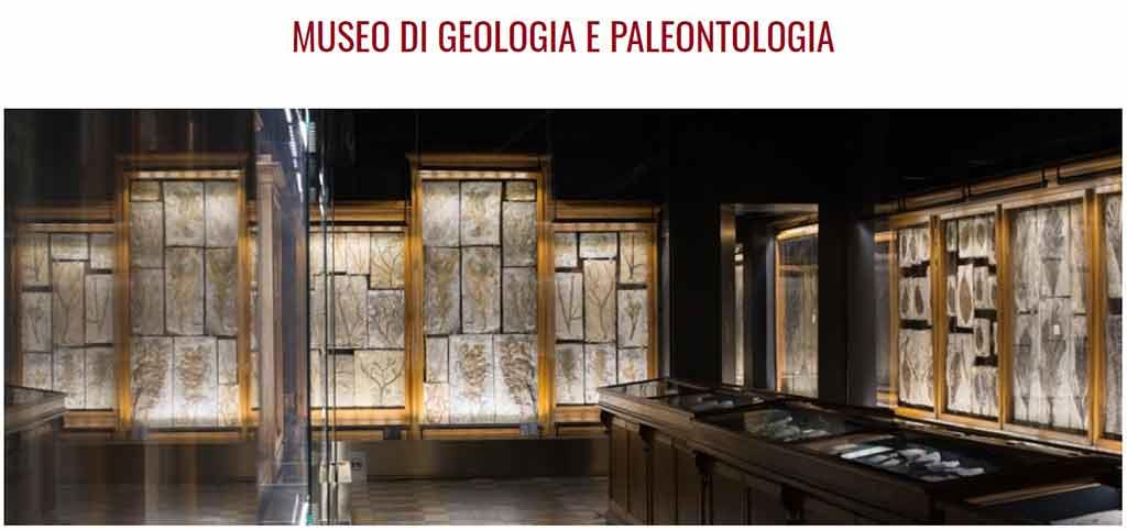 Museo di Geologia e Paleontologia