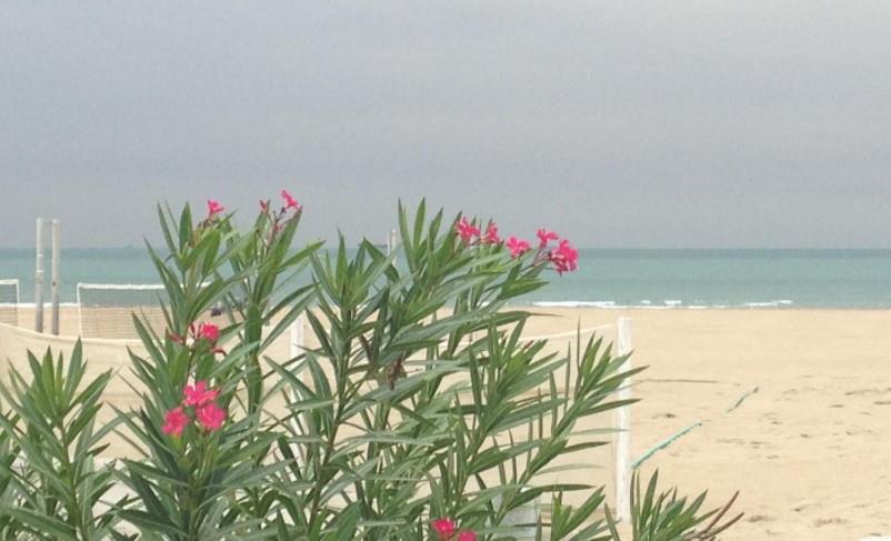 Bagno Charlie Beach