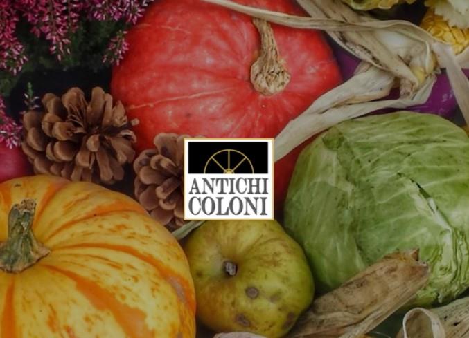 Azienda Vitivinicola Antichi Coloni di Santoro Raffaele